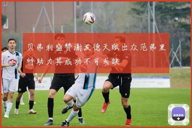 贝弗利盛赞谢泼德天赋出众范弗里特助力其成功不可或缺